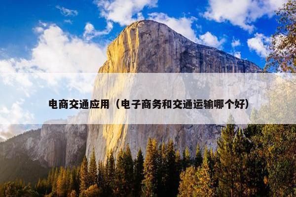 电商交通应用（电子商务和交通运输哪个好）