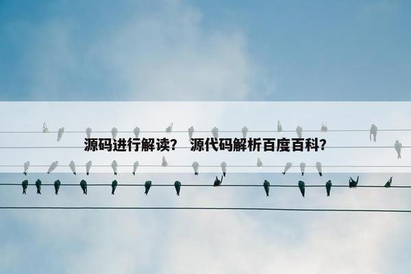 源码进行解读？ 源代码解析百度百科？