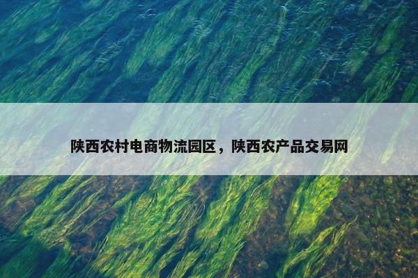 陕西农村电商物流园区，陕西农产品交易网