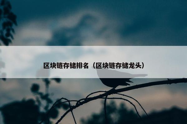 区块链存储排名（区块链存储龙头）