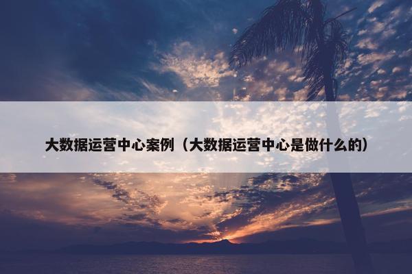 大数据运营中心案例（大数据运营中心是做什么的）