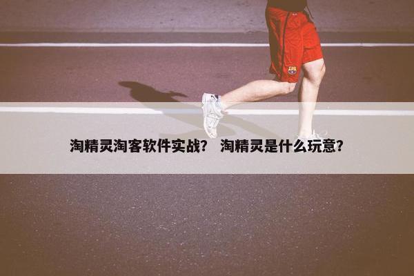 淘精灵淘客软件实战？ 淘精灵是什么玩意？