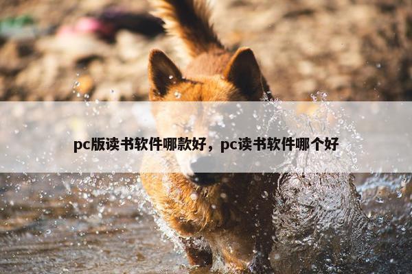 pc版读书软件哪款好，pc读书软件哪个好