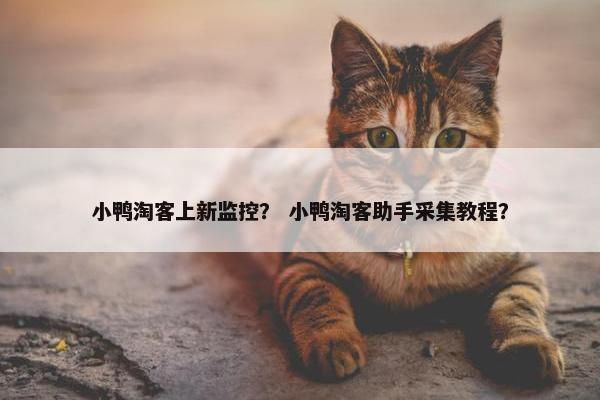 小鸭淘客上新监控？ 小鸭淘客助手采集教程？