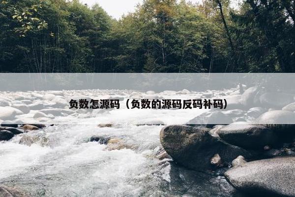负数怎源码（负数的源码反码补码）