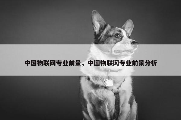 中国物联网专业前景，中国物联网专业前景分析