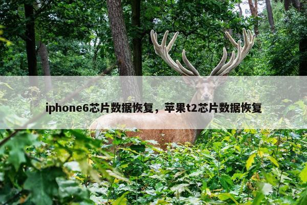 iphone6芯片数据恢复，苹果t2芯片数据恢复