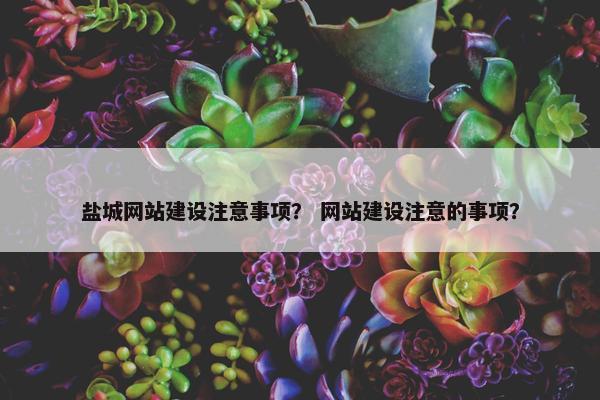 盐城网站建设注意事项？ 网站建设注意的事项？