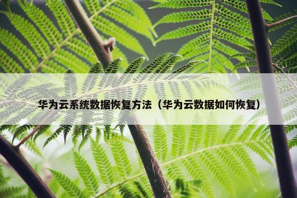 华为云系统数据恢复方法（华为云数据如何恢复）