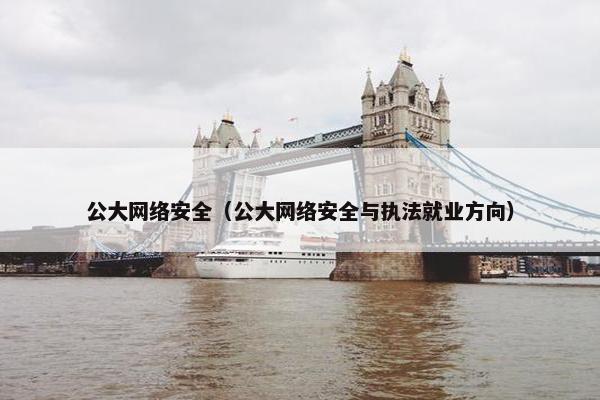 公大网络安全（公大网络安全与执法就业方向）