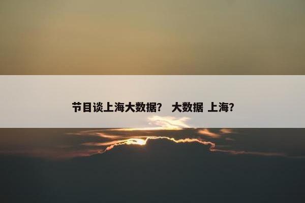 节目谈上海大数据？ 大数据 上海？