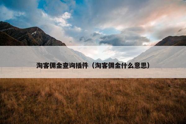 淘客佣金查询插件（淘客佣金什么意思）