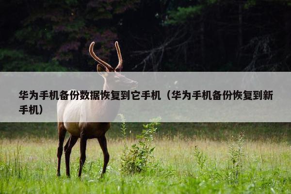 华为手机备份数据恢复到它手机（华为手机备份恢复到新手机）