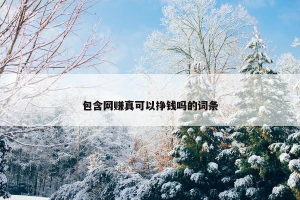 包含网赚真可以挣钱吗的词条