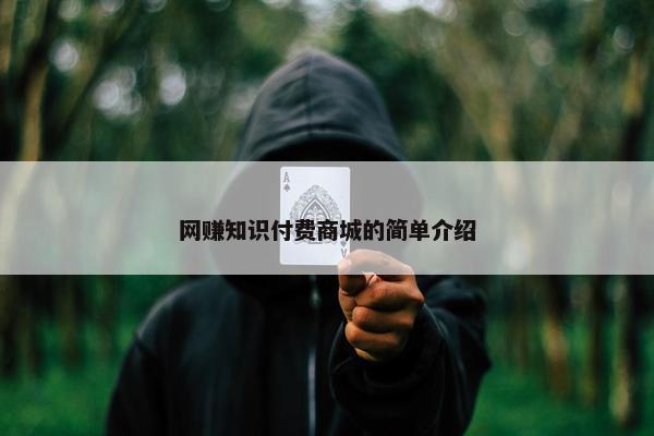网赚知识付费商城的简单介绍
