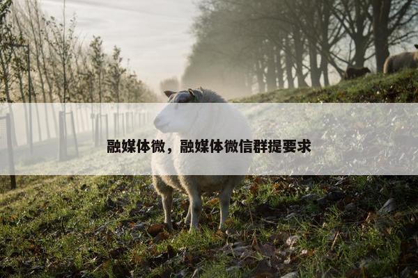 融媒体微，融媒体微信群提要求