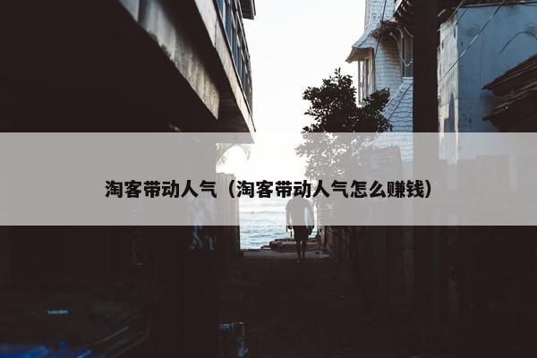 淘客带动人气（淘客带动人气怎么赚钱）