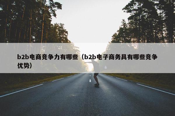 b2b电商竞争力有哪些（b2b电子商务具有哪些竞争优势）