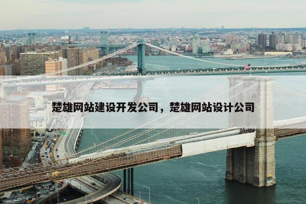 楚雄网站建设开发公司，楚雄网站设计公司