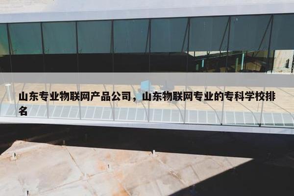 山东专业物联网产品公司，山东物联网专业的专科学校排名