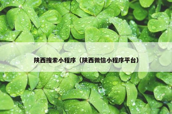 陕西搜索小程序（陕西微信小程序平台）