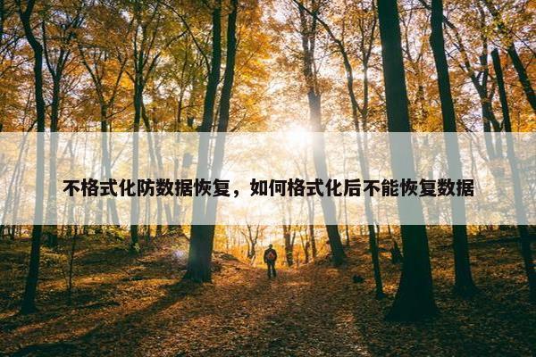 不格式化防数据恢复，如何格式化后不能恢复数据