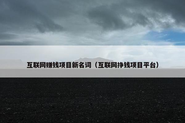 互联网赚钱项目新名词（互联网挣钱项目平台）
