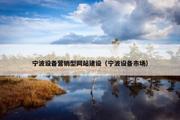 宁波设备营销型网站建设（宁波设备市场）