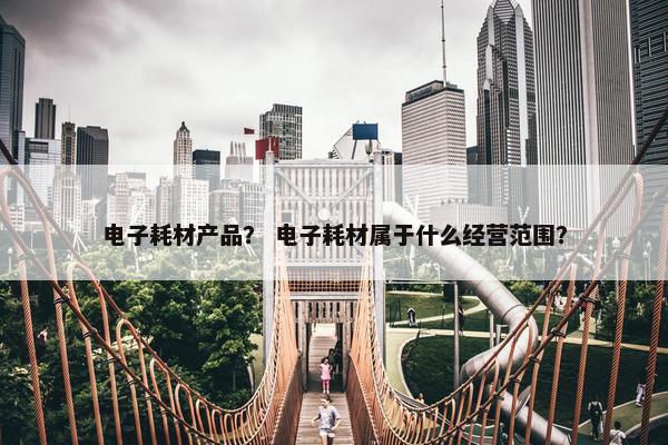 电子耗材产品？ 电子耗材属于什么经营范围？