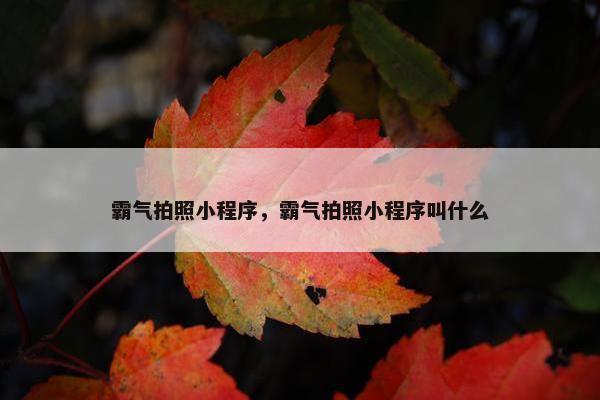 霸气拍照小程序，霸气拍照小程序叫什么