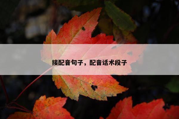 接配音句子，配音话术段子
