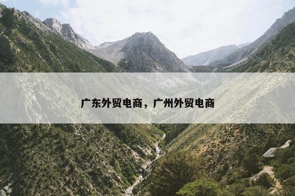 广东外贸电商，广州外贸电商