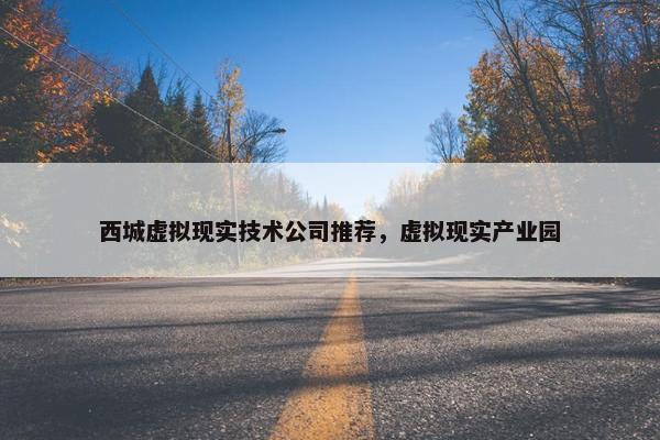 西城虚拟现实技术公司推荐，虚拟现实产业园
