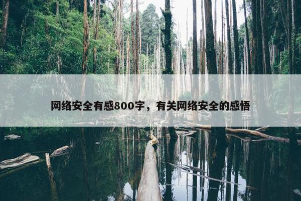 网络安全有感800字，有关网络安全的感悟