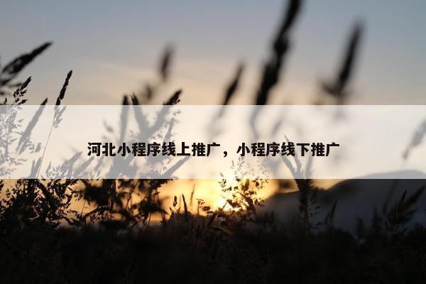 河北小程序线上推广，小程序线下推广