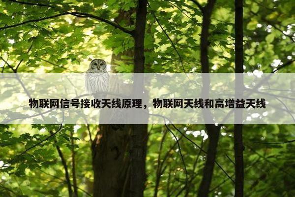物联网信号接收天线原理，物联网天线和高增益天线