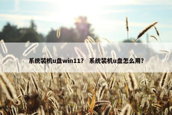 系统装机u盘win11？ 系统装机u盘怎么用？
