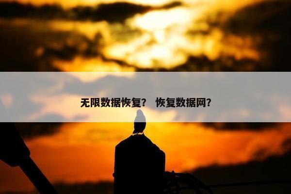 无限数据恢复？ 恢复数据网？