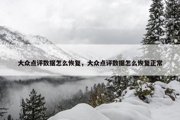 大众点评数据怎么恢复，大众点评数据怎么恢复正常