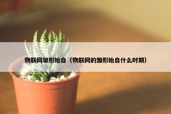 物联网皱形始自（物联网的雏形始自什么时期）