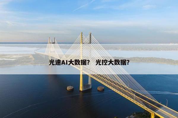 光速AI大数据？ 光控大数据？