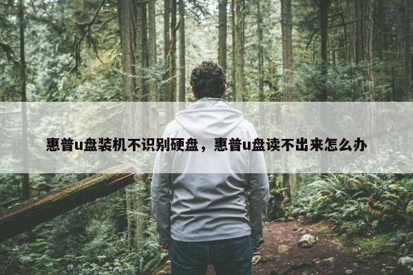 惠普u盘装机不识别硬盘，惠普u盘读不出来怎么办