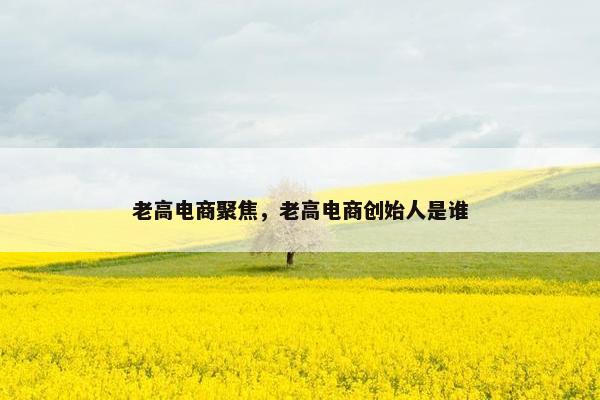老高电商聚焦，老高电商创始人是谁