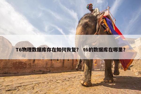 T6物理数据库存在如何恢复？ t6的数据库在哪里？