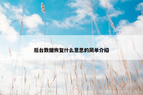 后台数据恢复什么意思的简单介绍