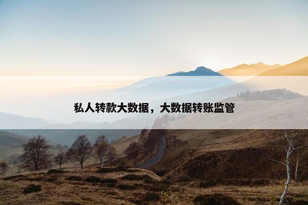 私人转款大数据，大数据转账监管
