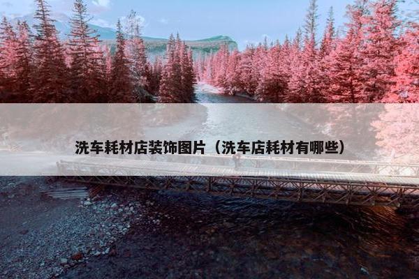 洗车耗材店装饰图片（洗车店耗材有哪些）