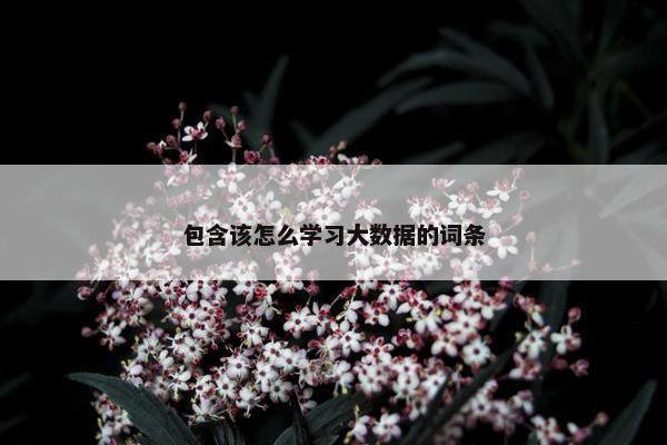 包含该怎么学习大数据的词条