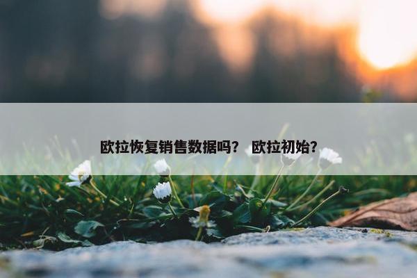 欧拉恢复销售数据吗？ 欧拉初始？