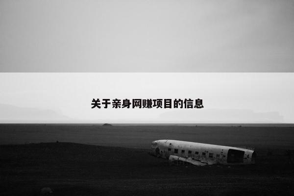 关于亲身网赚项目的信息